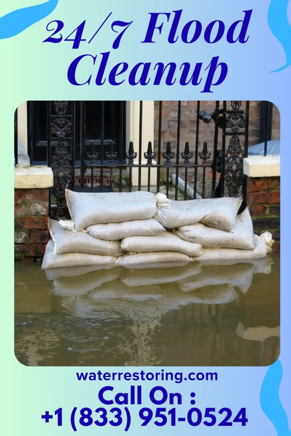 24/7 Flood Cleanup in Geneva, IL