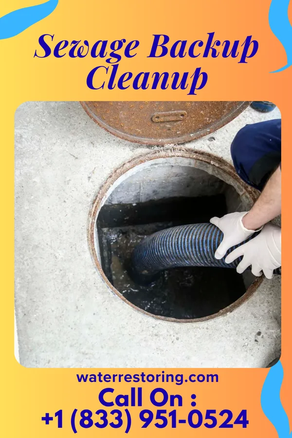 Sewage Backup Cleanup in Geneva, IL